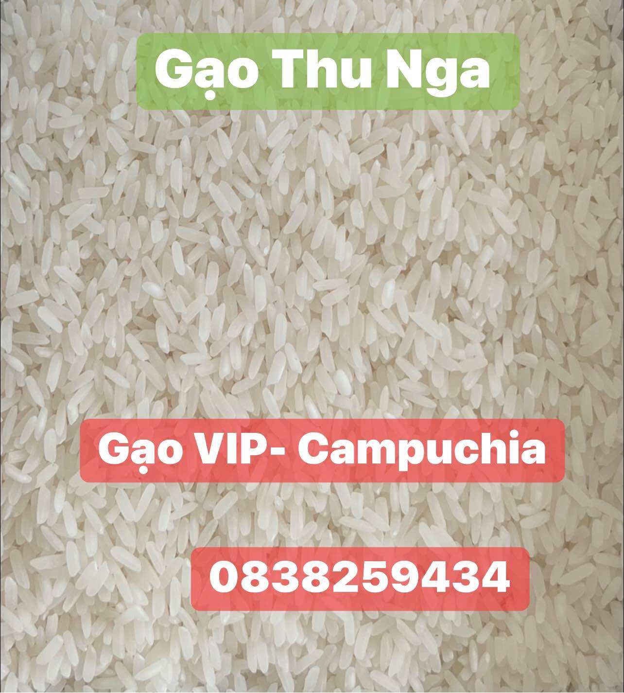 Gạo VIP - Campuchia dẻo vừa mềm cơm- túi 1kg