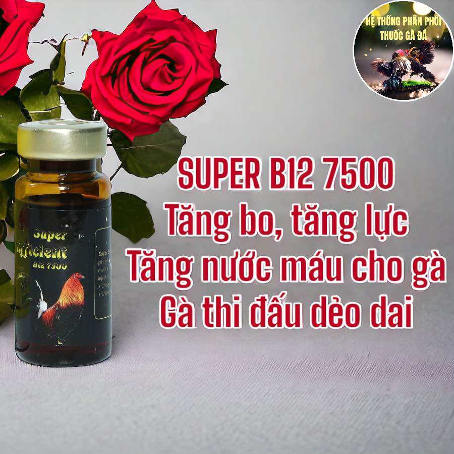 THUỐC GÀ ĐÁ B12 7500 CHAI 10 ML TĂNG BO CỰC KHỦNG, TĂNG NƯỚC MÁU, SIÊU LÌ ĐÒN