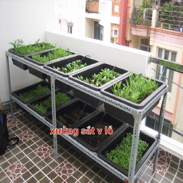 Cây 40cm - SẮT V LỖ ( V3x3cm)