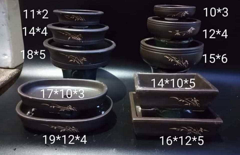 combo 10 chậu gốm bọn mình đã i