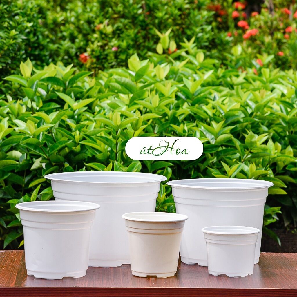 Chậu nhựa trắng T23 (23x16cm)có vành miệng cứng