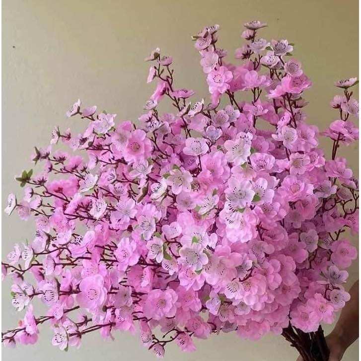 Hoa/cành đào-mai trang trí lễ Tết