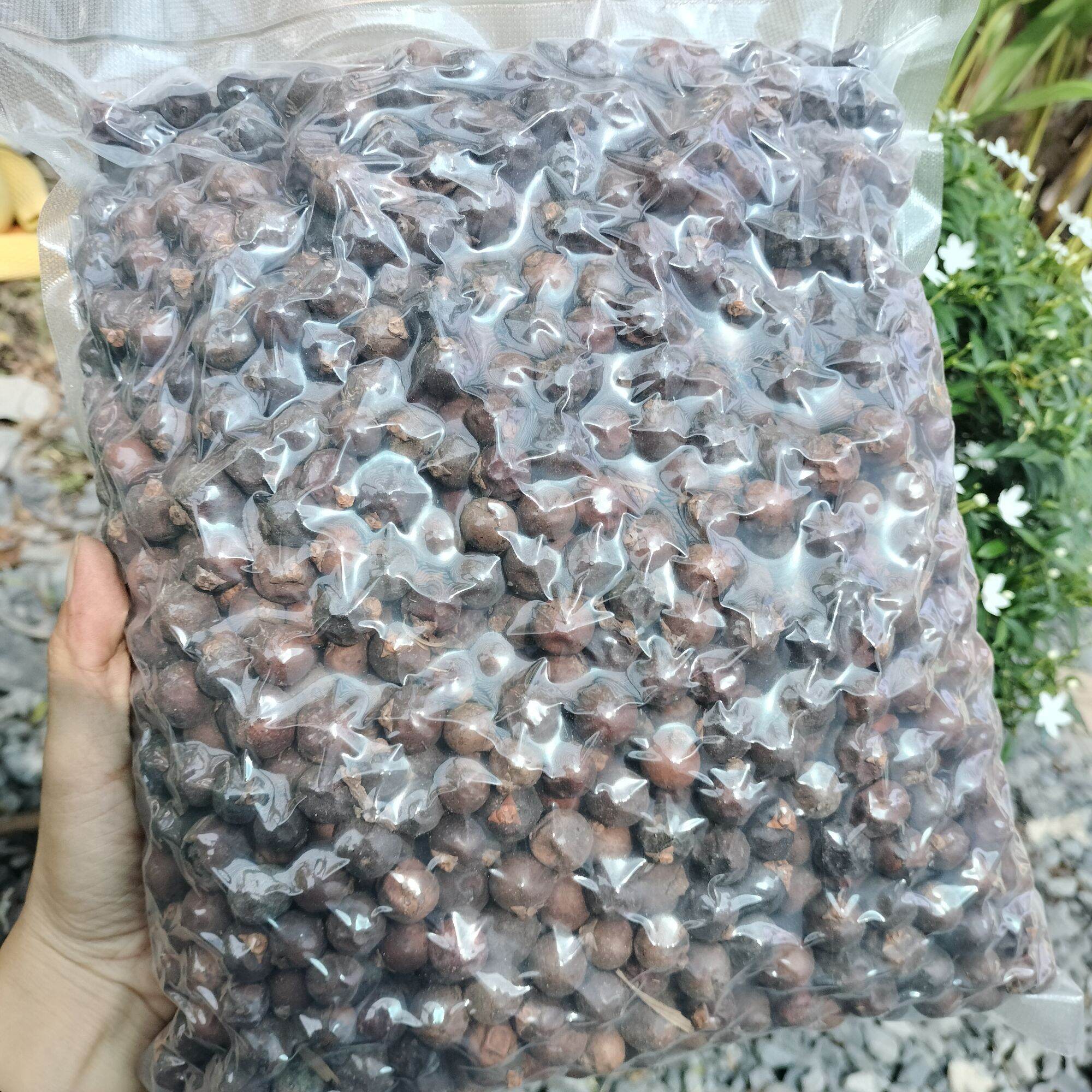 Đủng Đỉnh sấy khô/ tươi 1kg