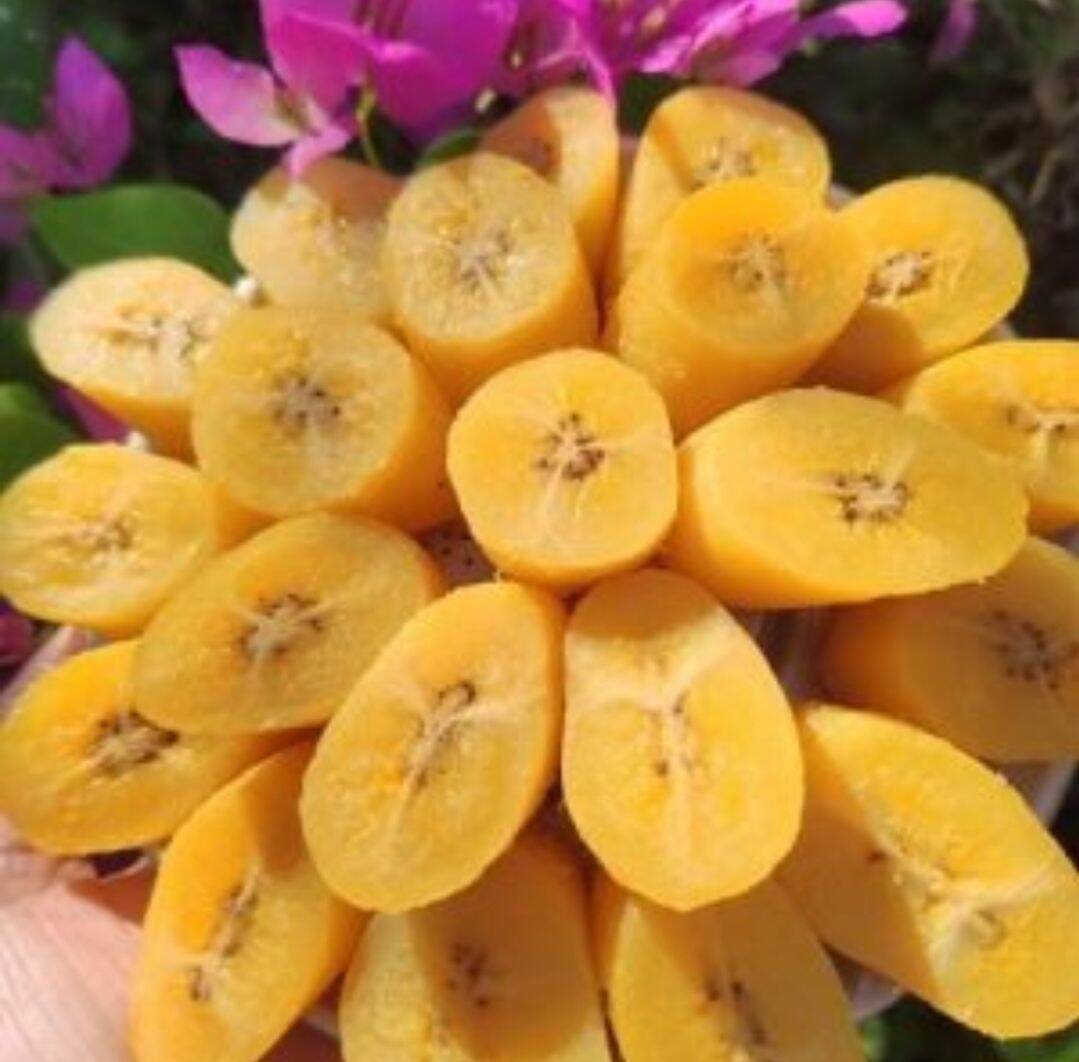 Chuối sáp Bến Tre-1Kg