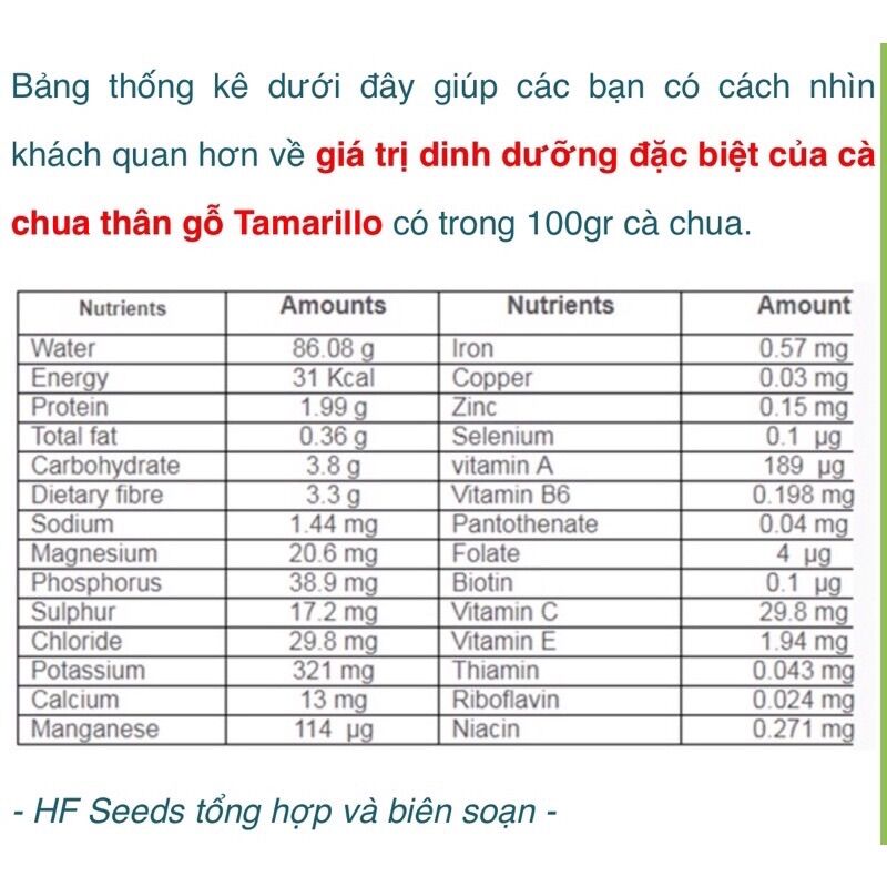 1KG CÀ CHUA THÂN GỖ