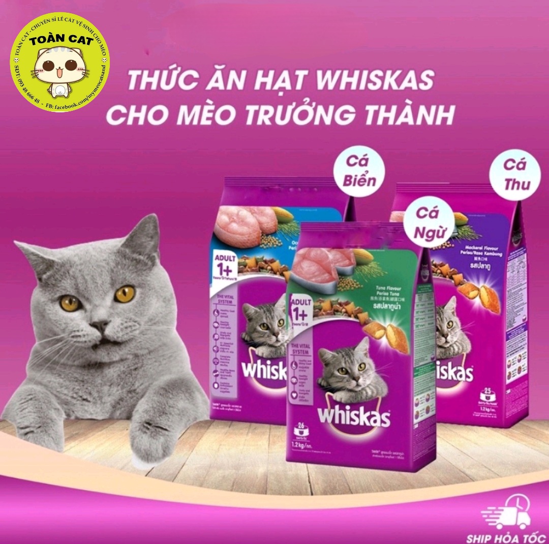 Thức ăn hạt khô whiskas dành cho mèo mọi lứa tuổi gói 1.2kg