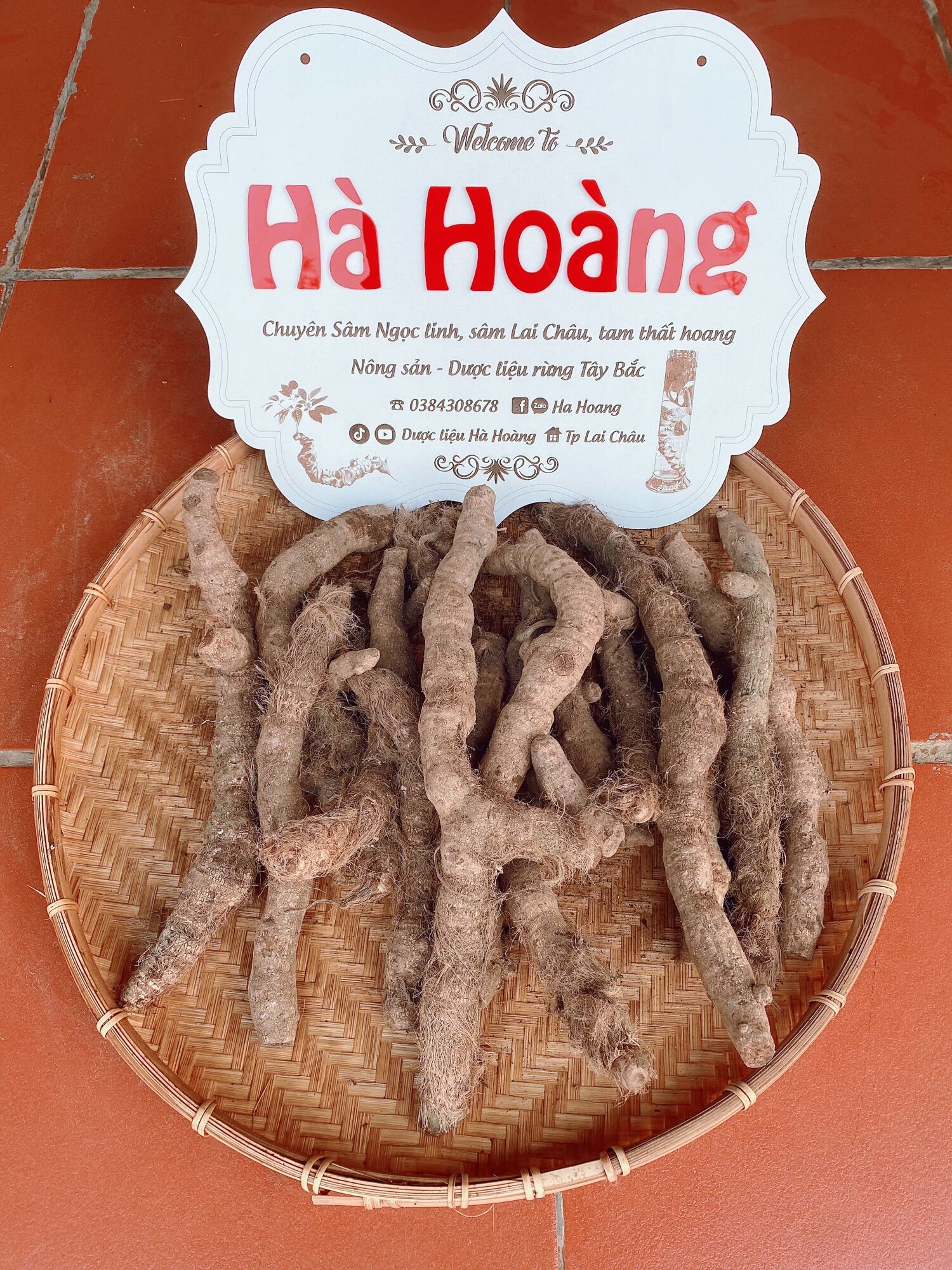 1kg rễ Tứn Khửn tươi (Lai Châu)