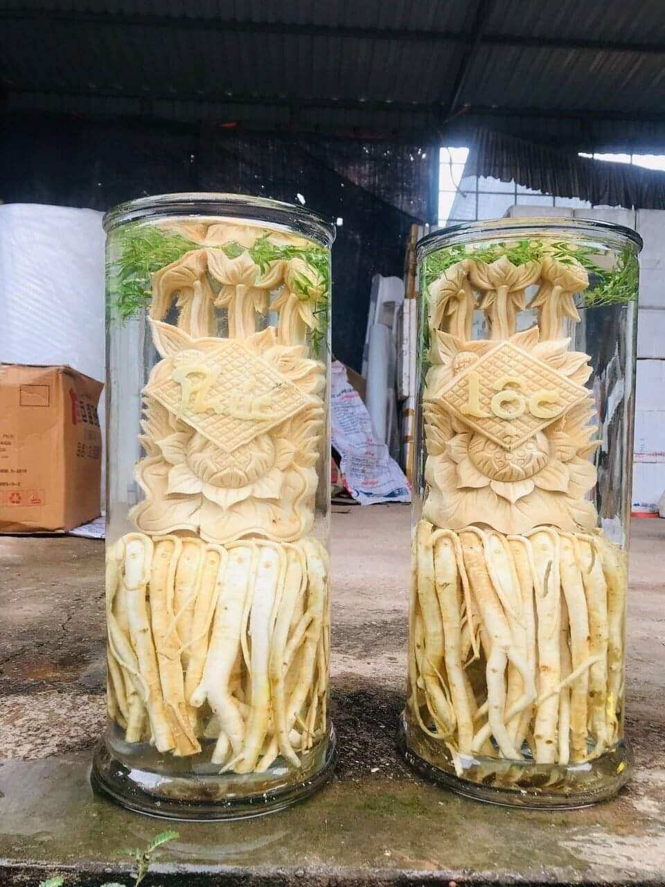 Bình đinh lăng điêu khắc 12 l, được điêu khắc tinh sảo từ rễ và thân đinh lăng nếp lá nhỏ. sản phẩm rất tốt cho sức khoẻ và dùng để trang trí , làm quà biếu ,tặng rất đẹp