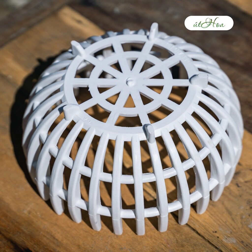 Combo 5 Chậu Trồng Lan Rổ Bí Phi 21Cm (Dày, Đẹp)