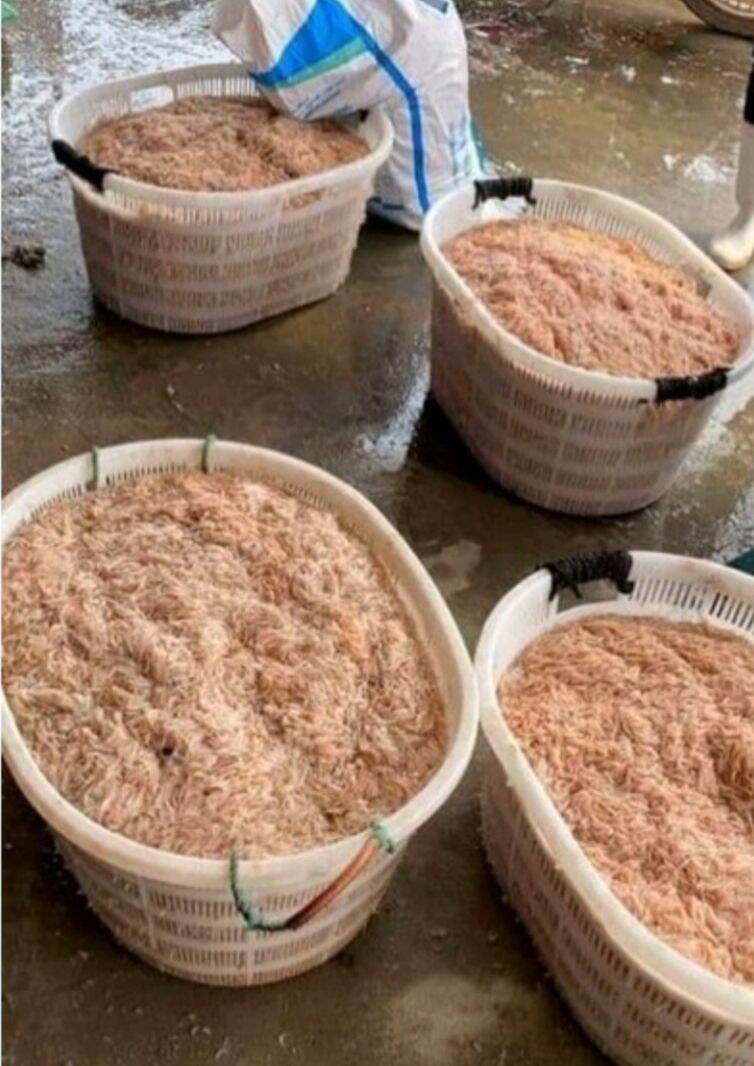 Tép khô 500g ( moi biển )