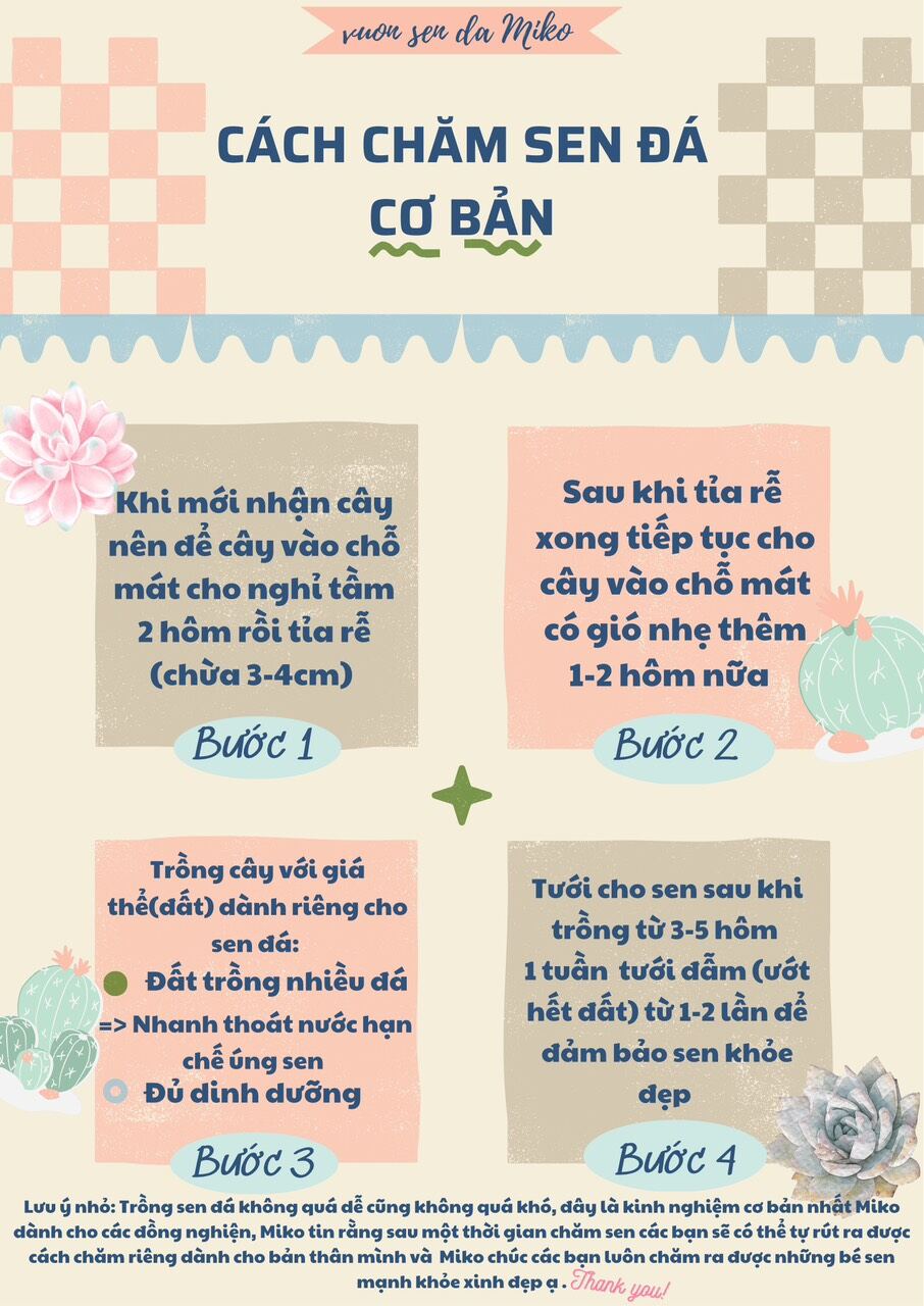Sen Mông/Thạch Lan cả bụi nhiều cây size cây từ 0,2-0,5cm