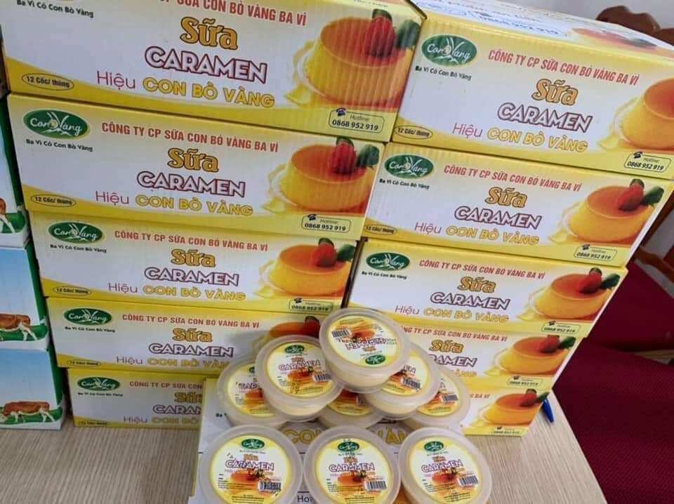 EM VỀ SẴN 500 thùng sữa chua nếp cẩm ba vì chị vàng đủ các vị sữa chua nếp cẩm sữa chua nha đam sữa chua mic vị bốn mùa sữa chua phô mai sữa caremen sữa chua chanh Leo                                                                 sữa chua trà xanh đồng