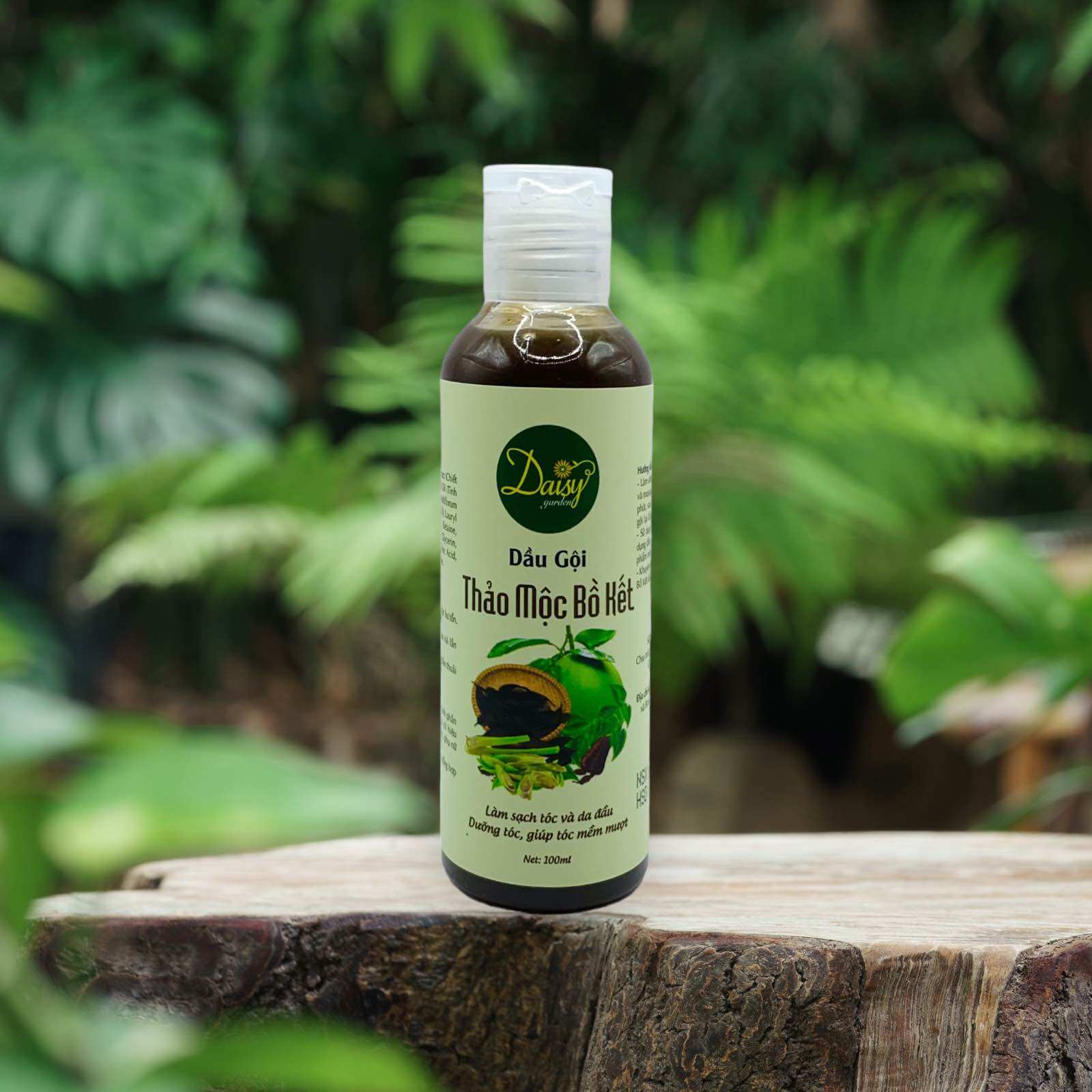 Dầu gội thảo mộc bồ kết Daisy Garden chai 100ml