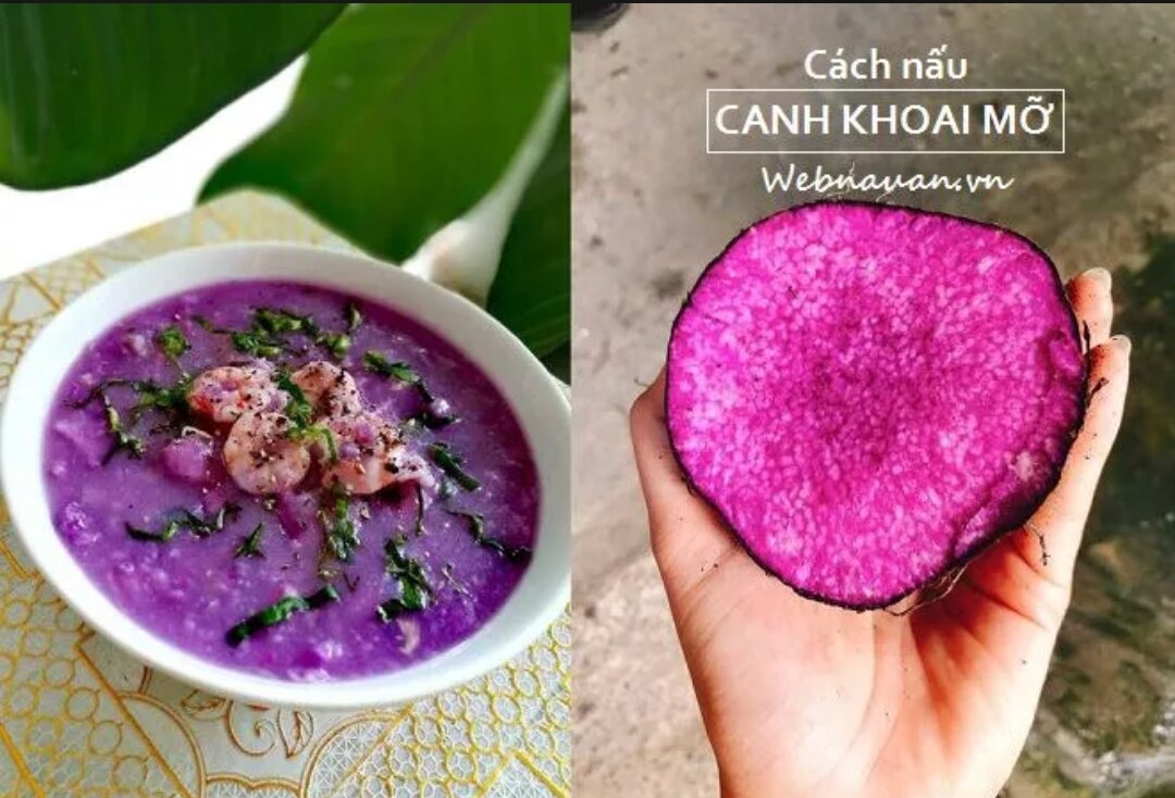 KHOAI MỠ tươi ú nu mới nhổ 1Kg