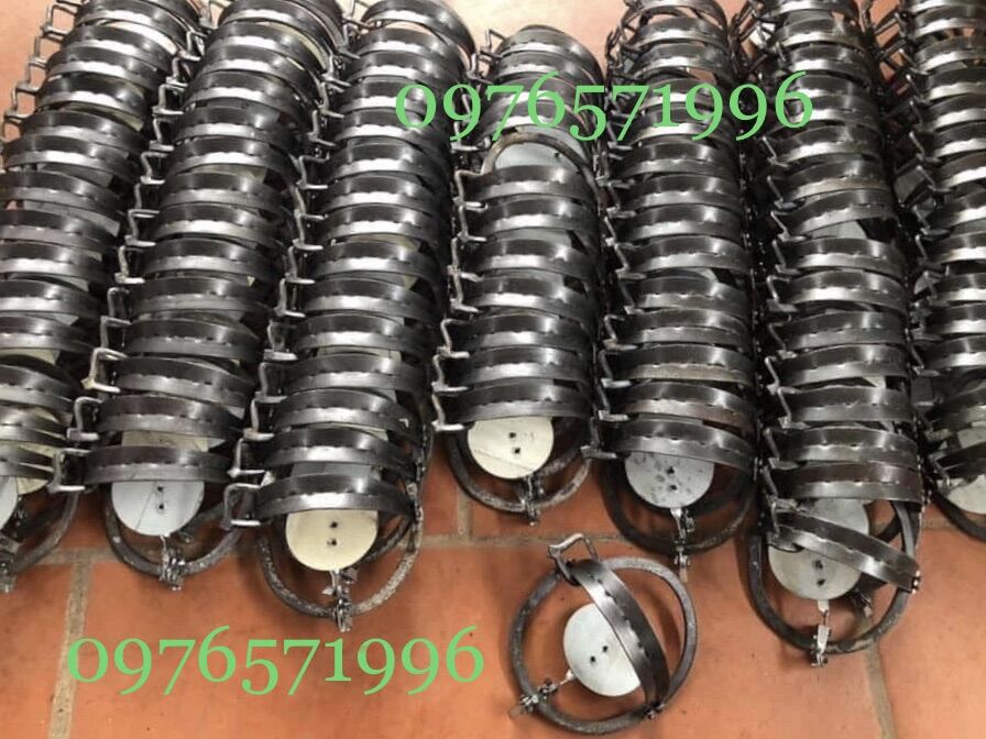 COMBO 10 CẠM BẪY CHUỘT THÔNG MINH K CẦN MỒI