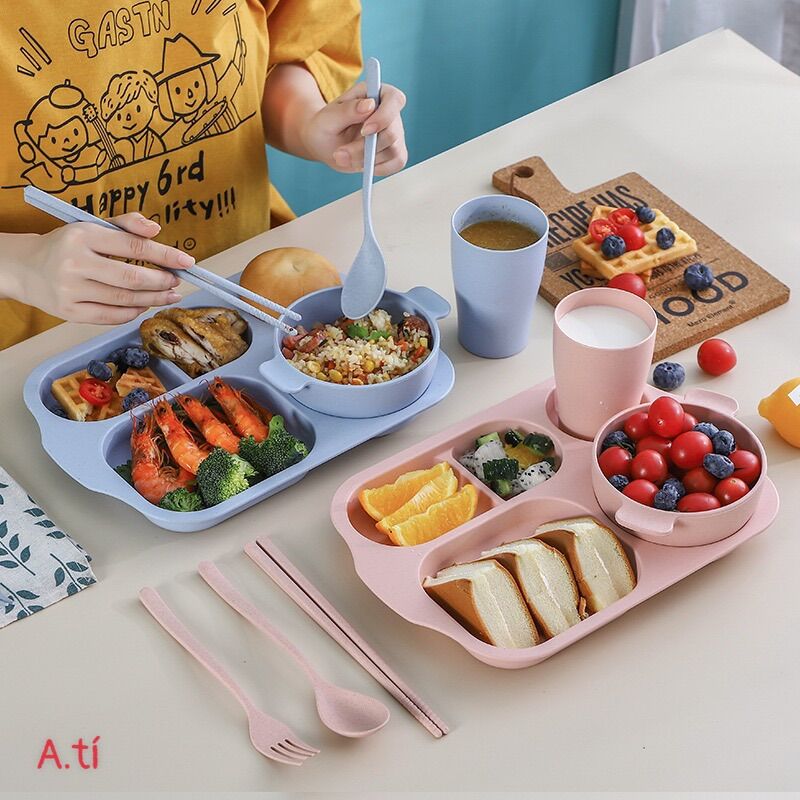 Khay cơm lúa mạch 6 chi tiết