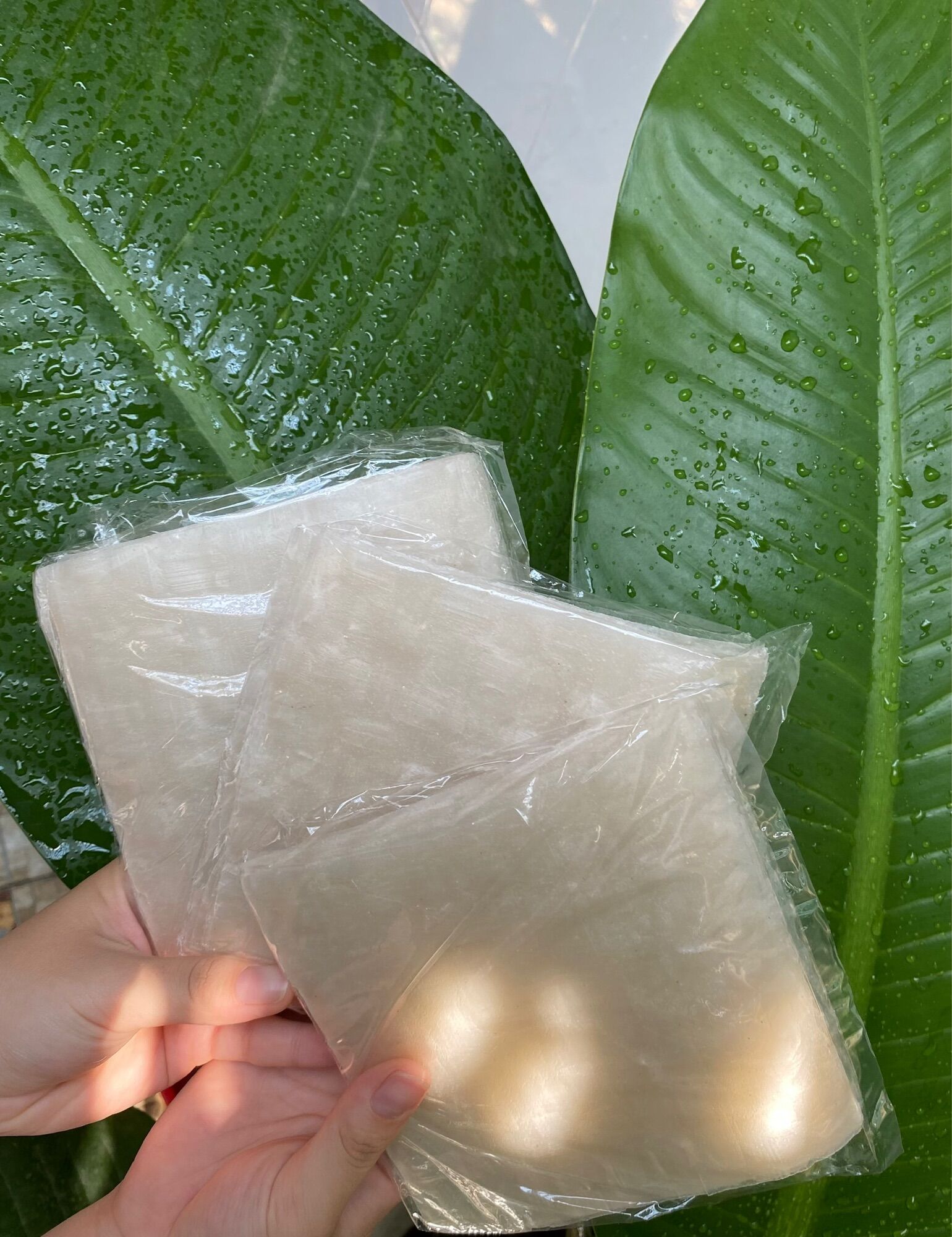 5 Bịch Bánh Tráng Bình Định Cuốn Chả Ram [5 bịch = 100 cái] (40k/ 5 bịch)