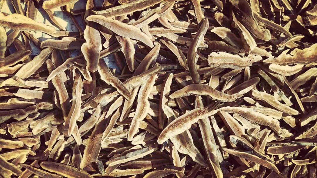 1kg Nấm linh chi rừng thái lát hàng chuẩn 100%