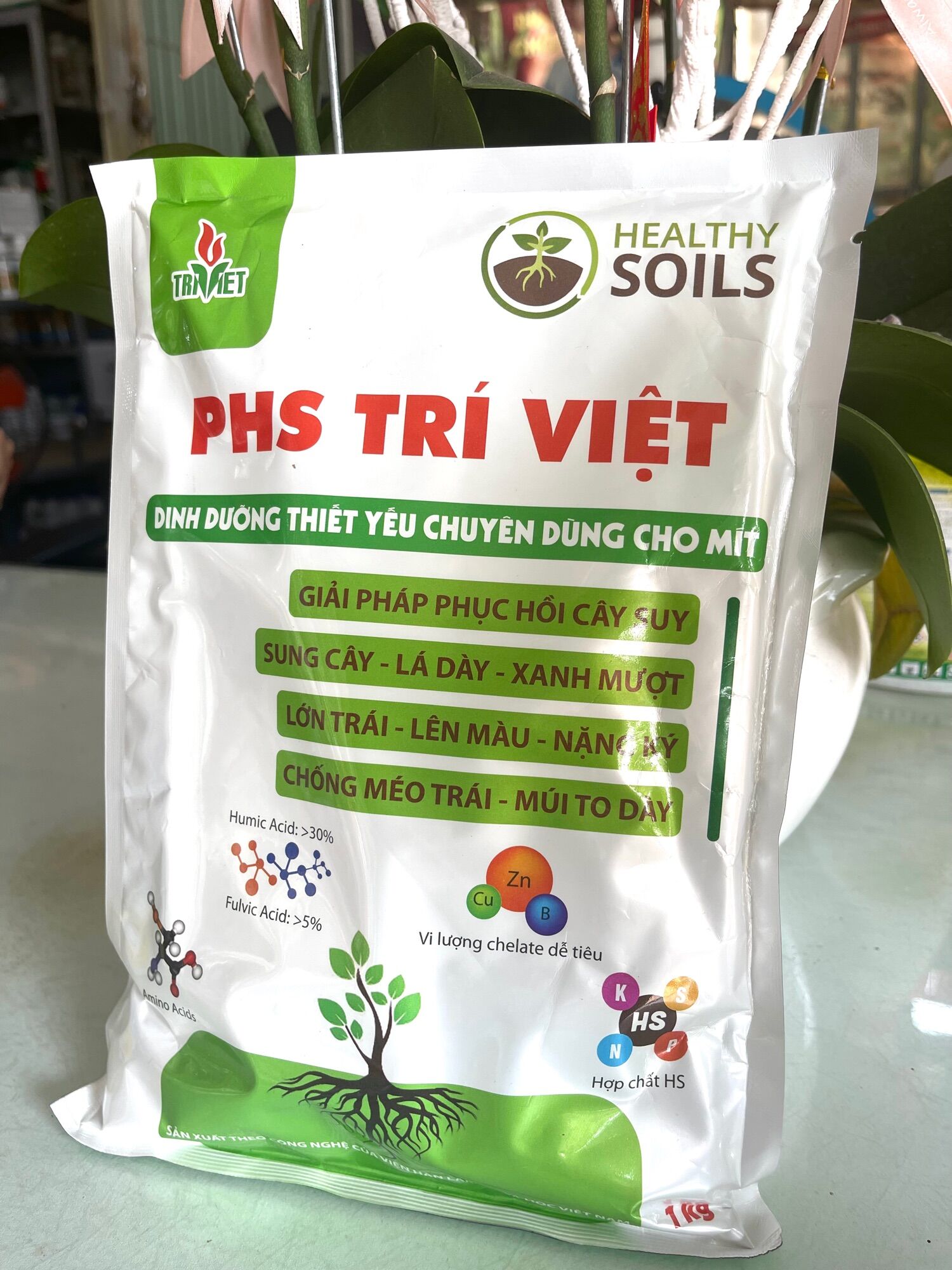 Phs trí việt- dùng cho mít