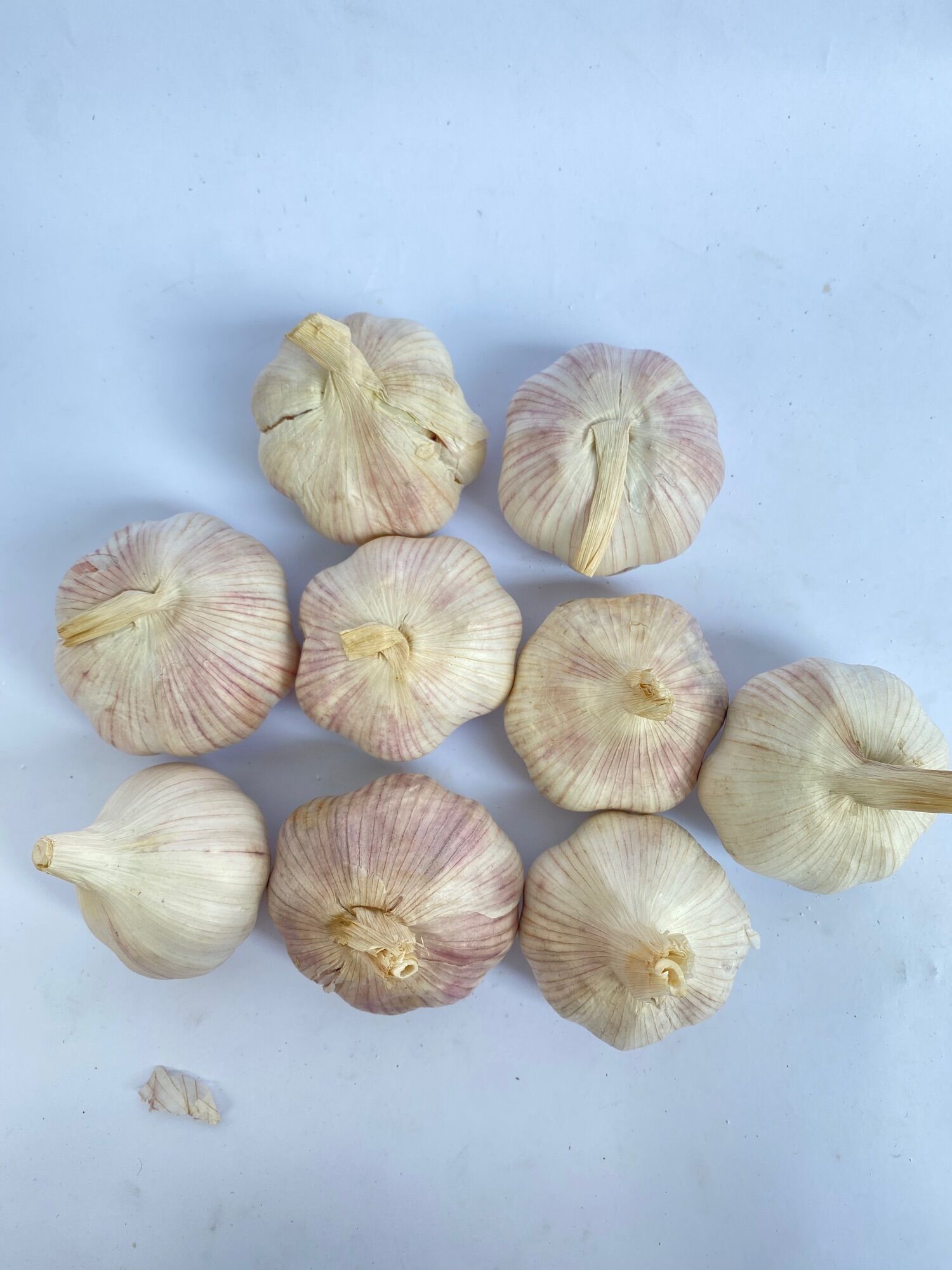 tỏi / tỏi lụa sạch 1kg