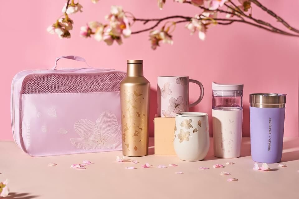 Bình starbucks sakura
