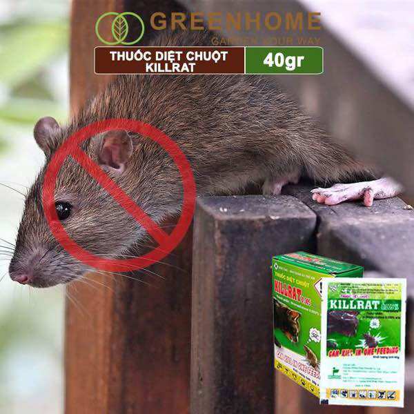 Thuốc Diệt Chuột KILLRAT 0,005% (Hộp 2 Gói)