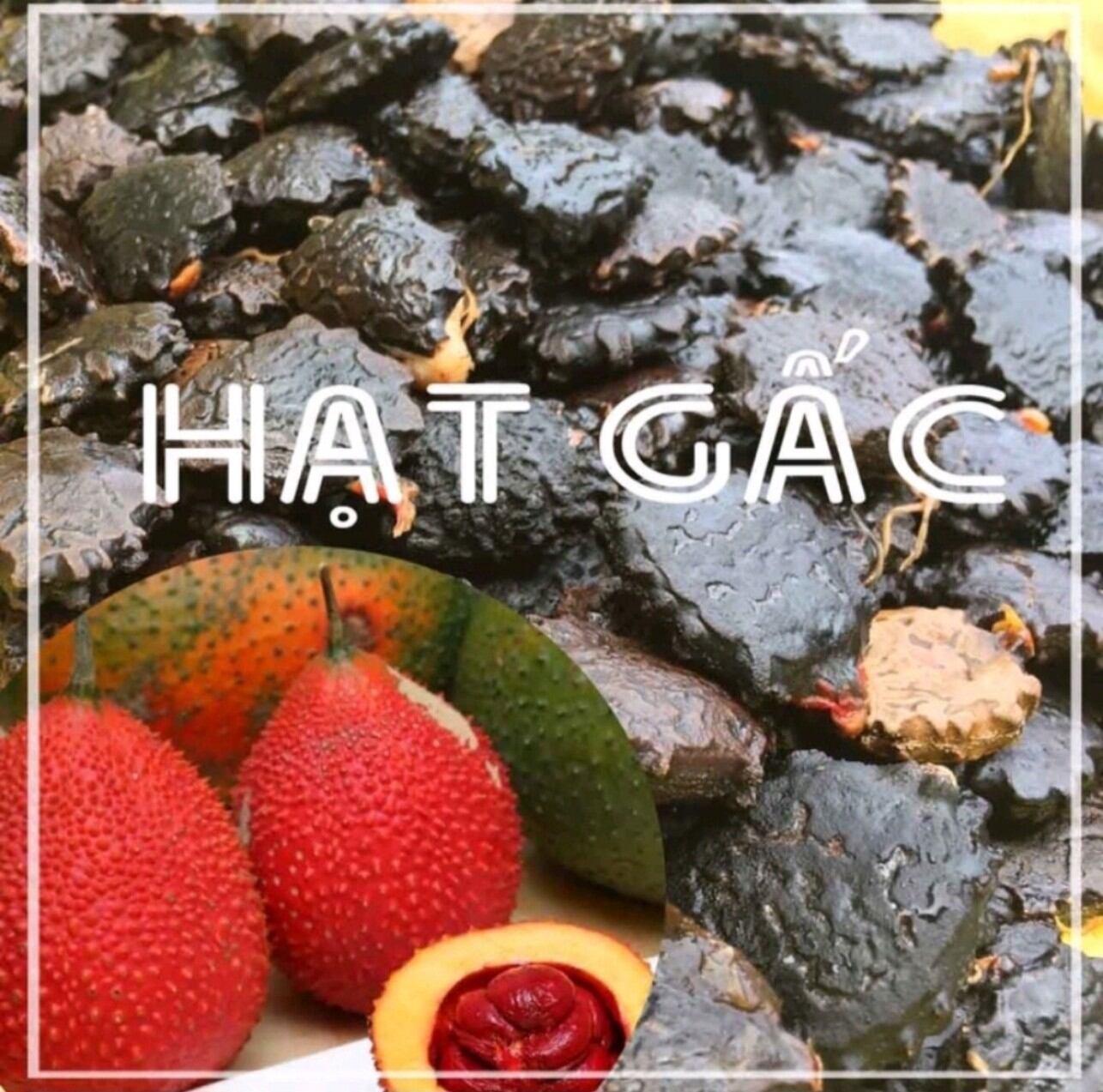 Hạt gấc khô 1 ký