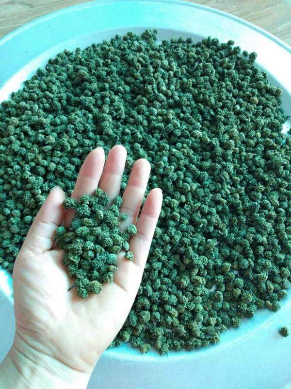 1kg nụ tam thất bao tử