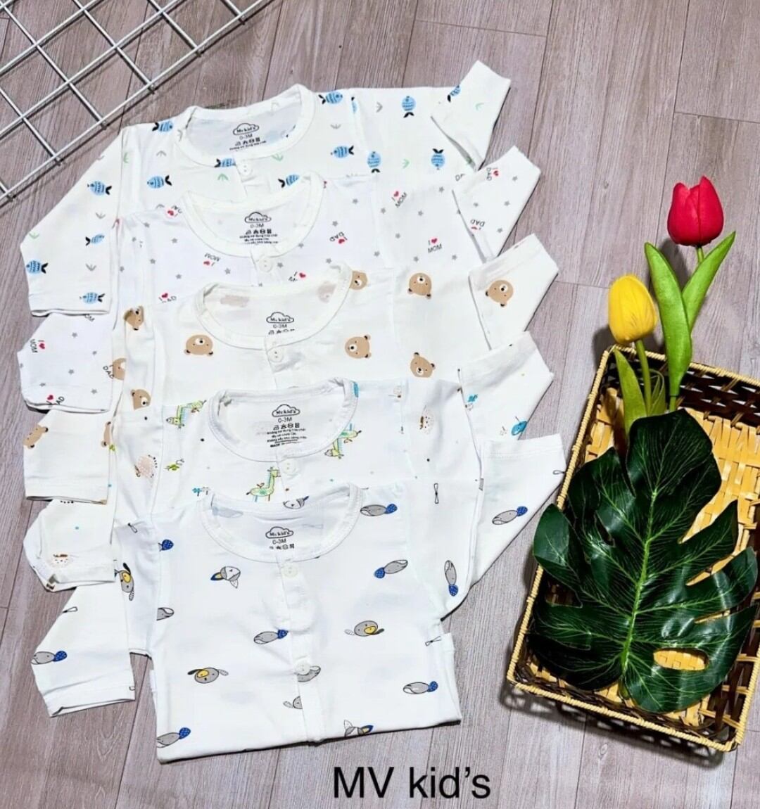 Áo sơ sinh dài tay nền trắng