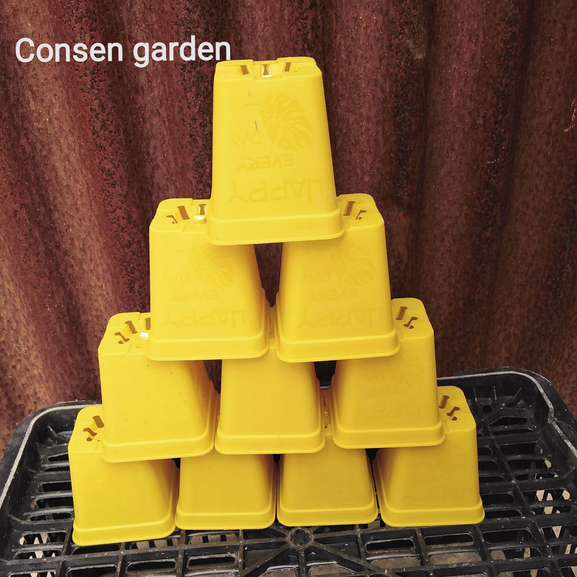 Combo 10 Chậu Nhựa 7x7Cm Trồng Sen Đá, Ươm Hạt
