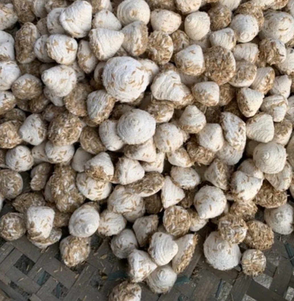 5 Viên men rượu làm 500g cơm rượu nếp