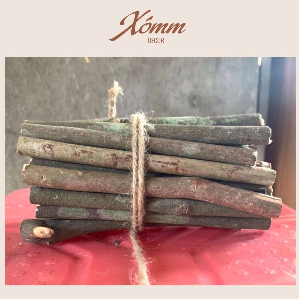 Cành củi khô  trang trí,  decor gần gũi tự nhiên (bó 20 cành)