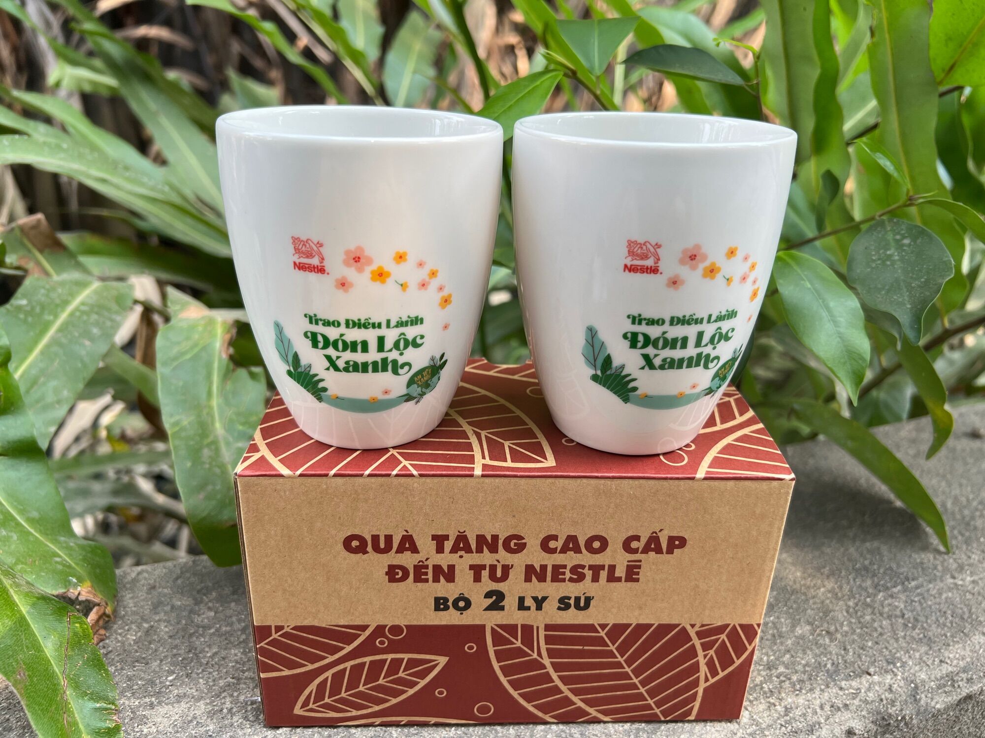 Bộ 2 ly sứ cao cấp Donghwa