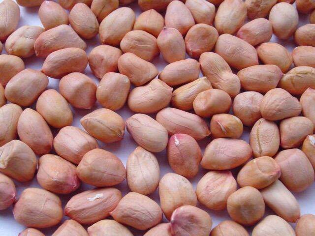 Đậu phộng sống bóc vỏ 500g