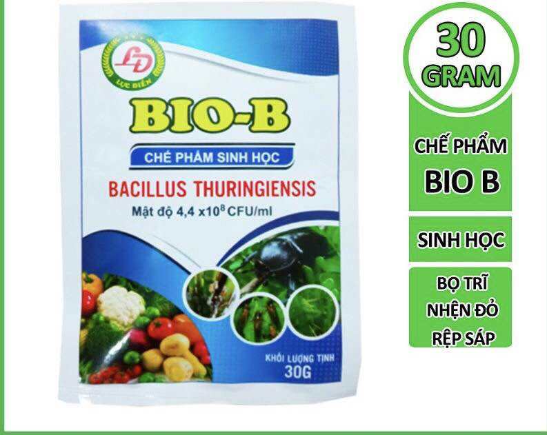Chế phẩm sinh học Bio B - trừ sâu nhện cho cây cảnh