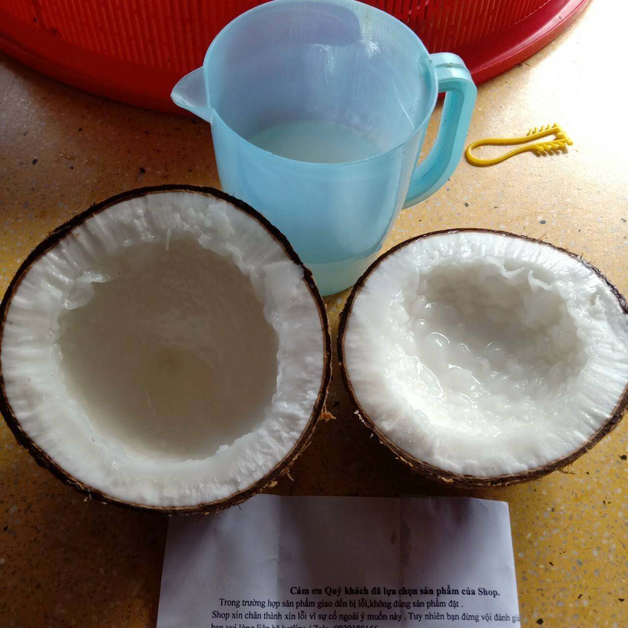 Dừa Sáp Đặc Sản Cầu Kè Trà Vinh Thơm Ngon ,Bổ Dưỡng ( trái hơn 1kí)💥 💥