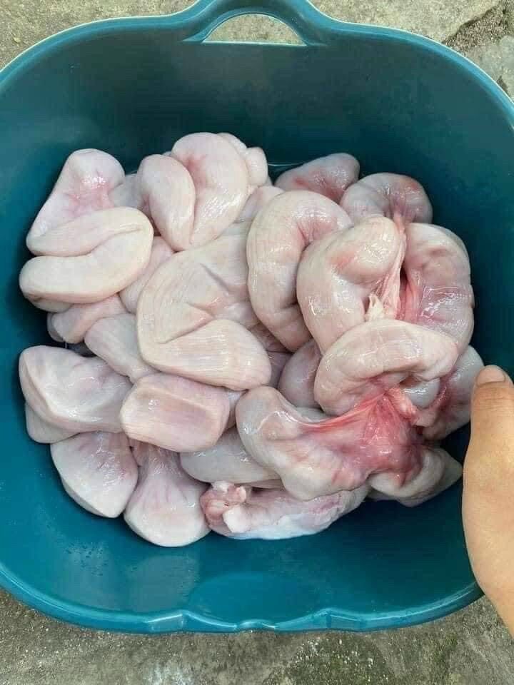 Hộp 1kg Dồi trường heo (hỏa tốc 2h tphcm)