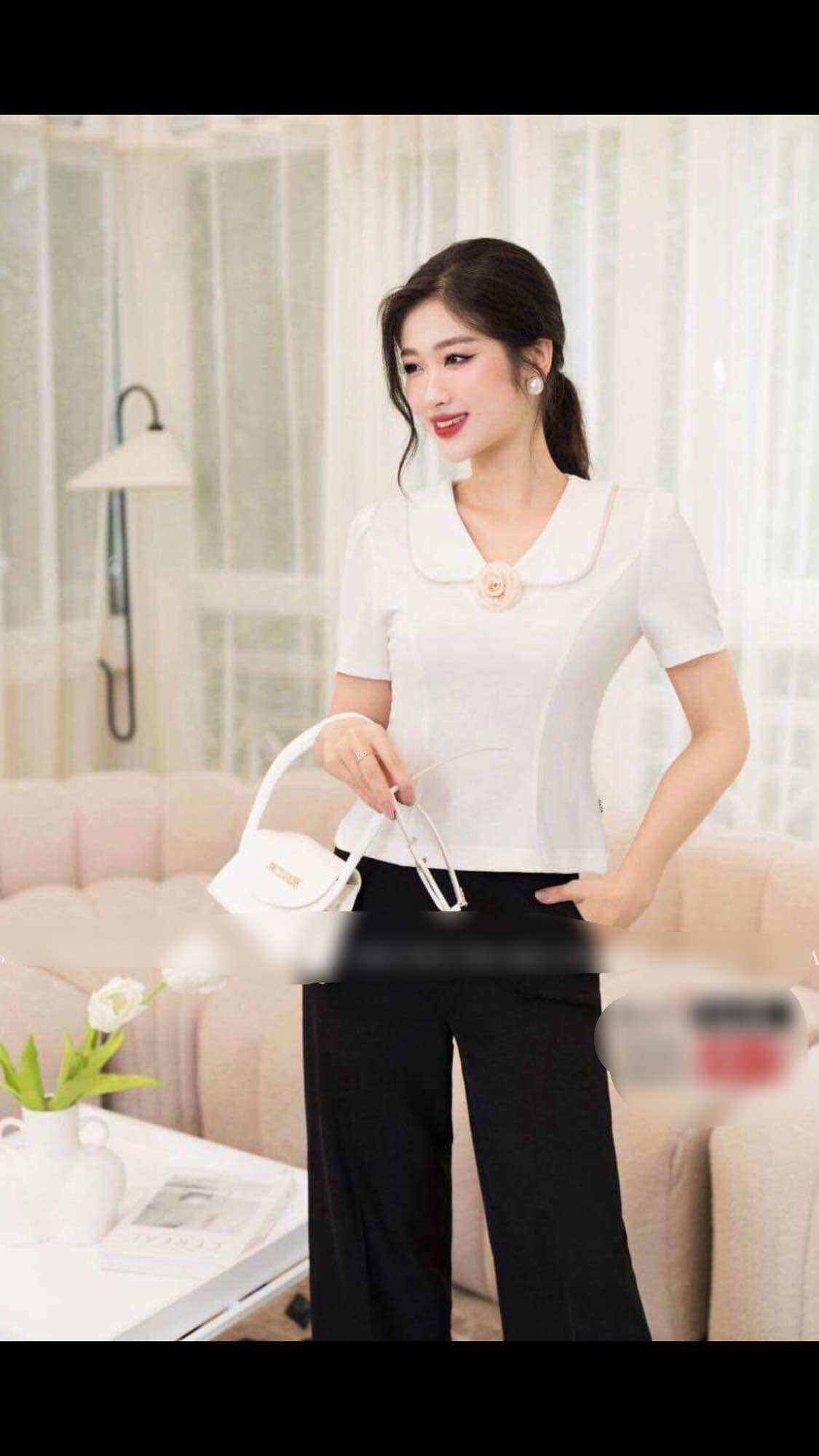 Áo cổ lá sen phối trắng tay ngắn full size &186