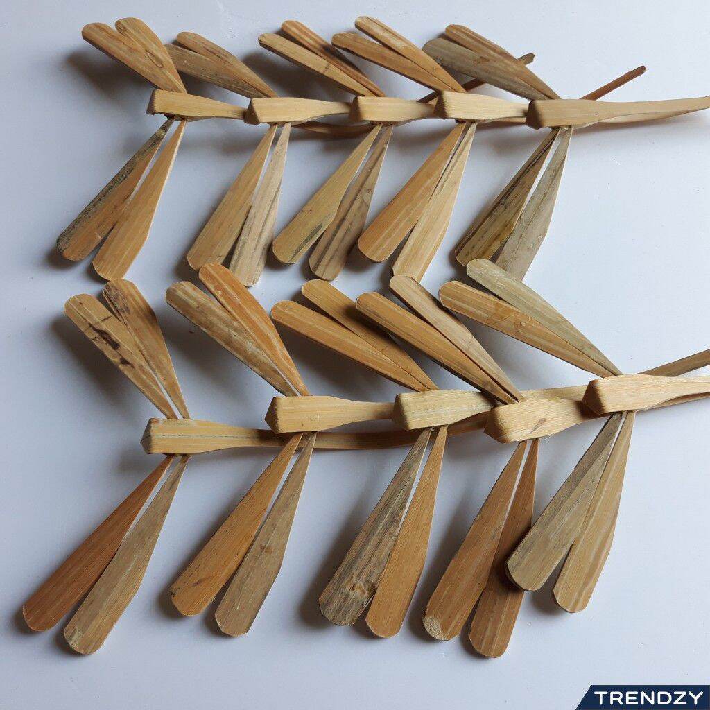 Chuồn chuồn tre màu tự nhiên của tre-LH 0978945425