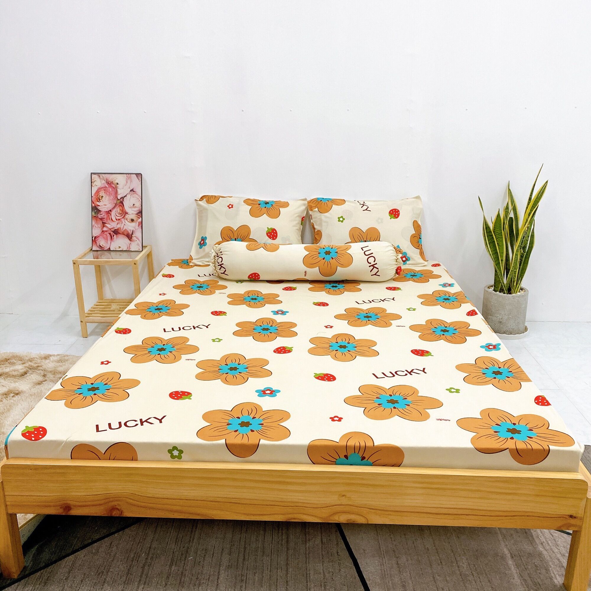 Set 4 món DRAP ÁO GỐI THUN LẠNH HÀN QUỐC