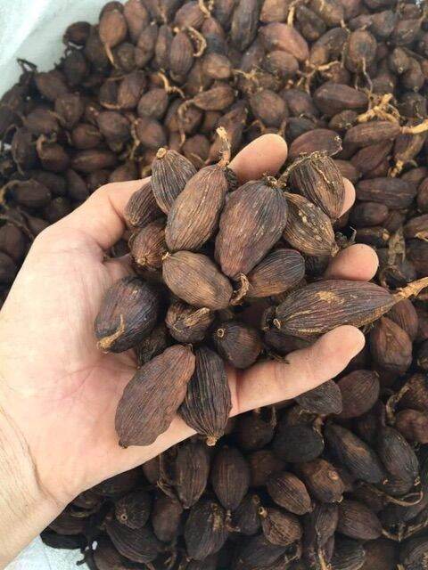 100Gr Thảo quả Khô Tây Bắc Loại 1
