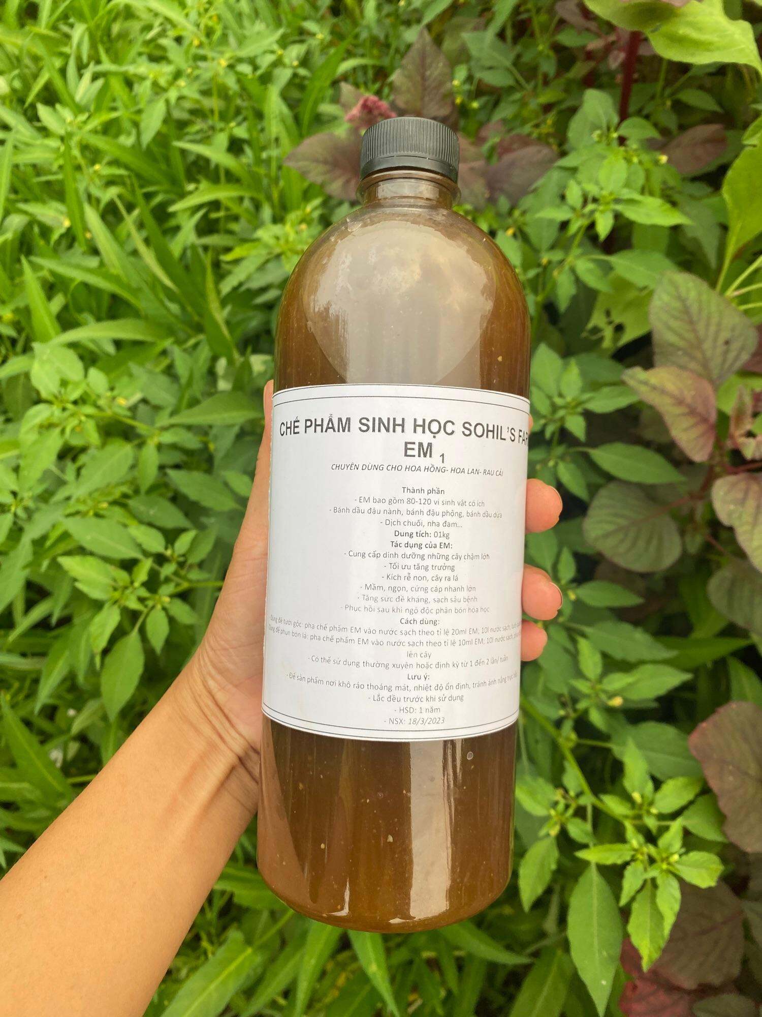 Chế phẩm dịch chuối, đậu nành, đậu phộng, đạm cá giúp cây xanh mướt, đậm bông, phục hồi cây