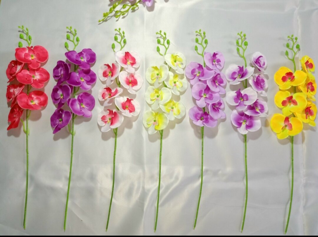 Cành hoa Lan Hồ Điệp thân dài 60cm