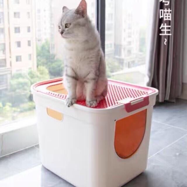 [HCM]Nhà vệ sinh 2 cửa cho mèo
