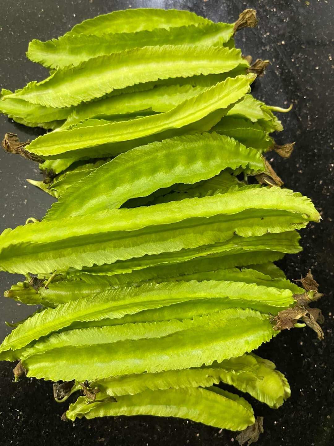 5 GR HẠT GIỐNG ĐẬU RỒNG
