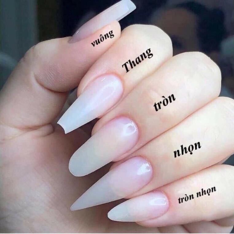Nailbox thiết kế theo yêu cầu- móng úp đen nhám