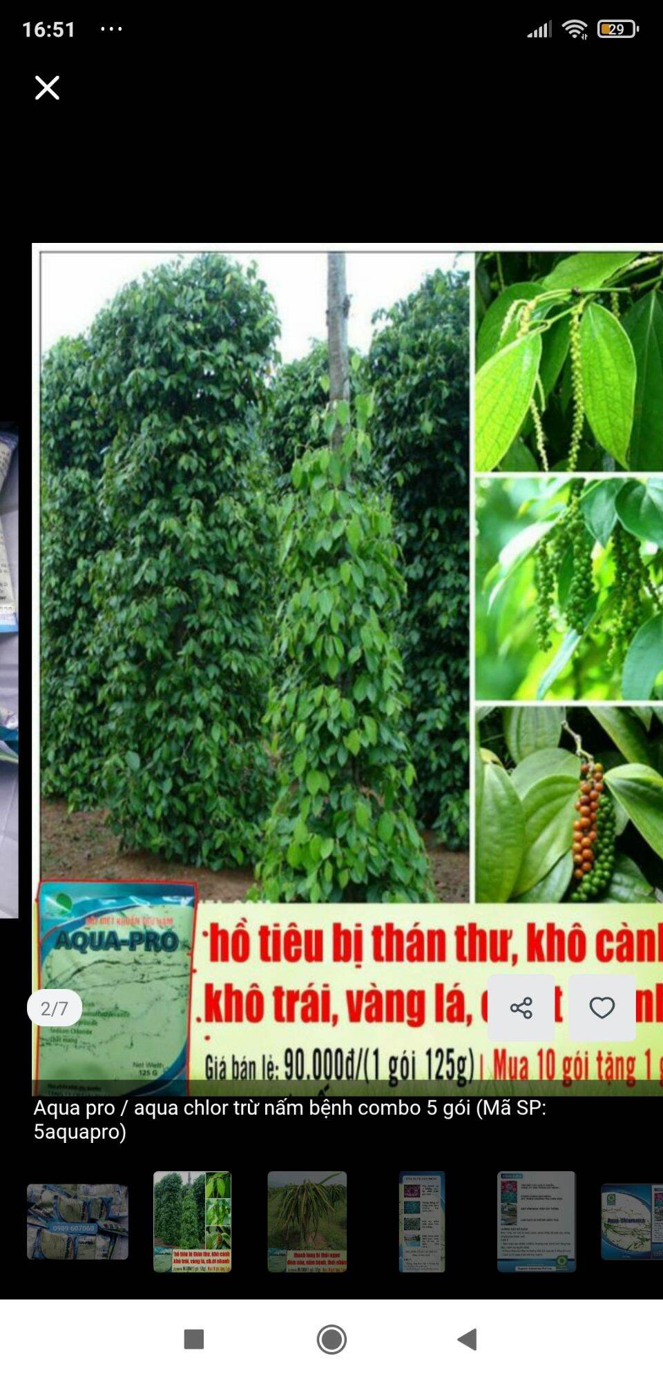 [HCM]chế phẩm phòng trừ nấm Aqua 125gam