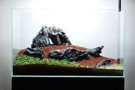 Đá ghép cây bonsai mini. trang trí bể cá cảnh