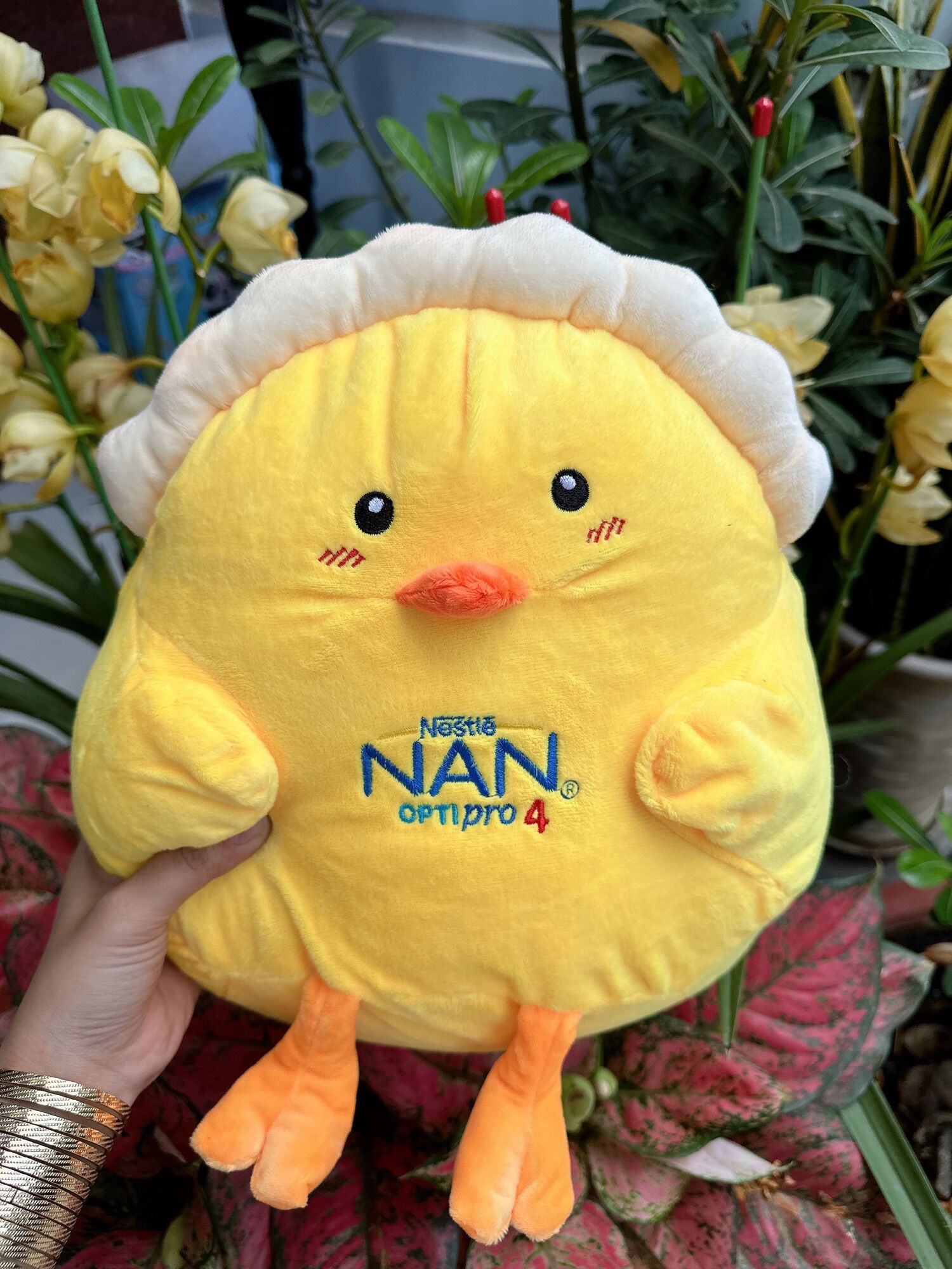 Gối ôm gà mái ấp trứng