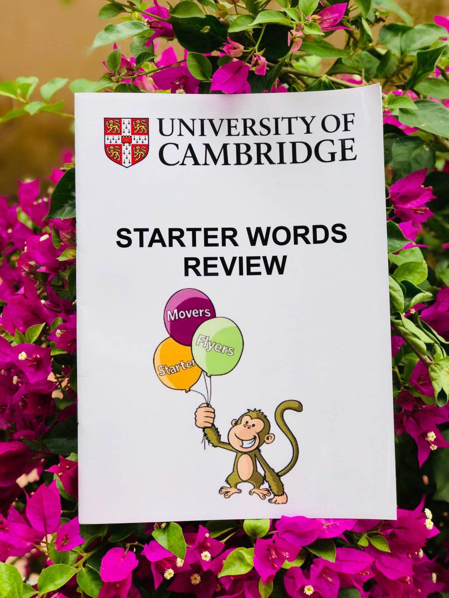 Cambridge English Starters Movers Flyers (Writing)